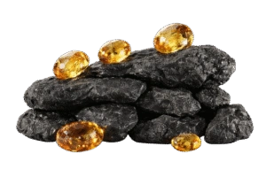 Shilajit Powder - Energy Reset