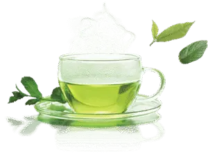 Weight Loss Powder - Body Reset