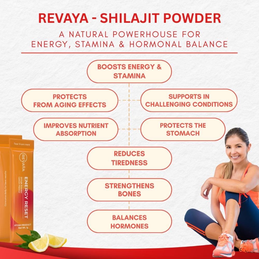 Shilajit Powder - Energy Reset