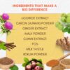 Gut Cleanse Powder - Gut Reset