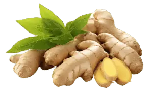 Weight Loss Powder - Body Reset