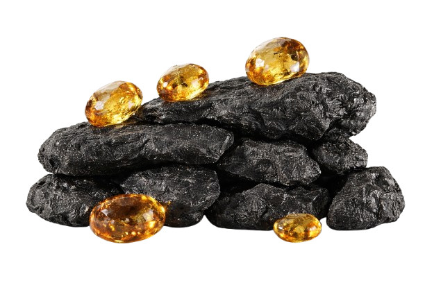 Shilajit Powder - Energy Reset