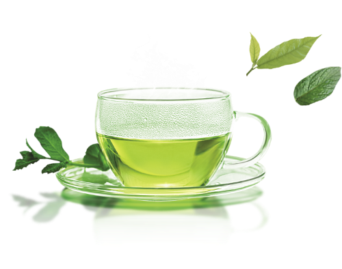 Weight Loss Powder - Body Reset