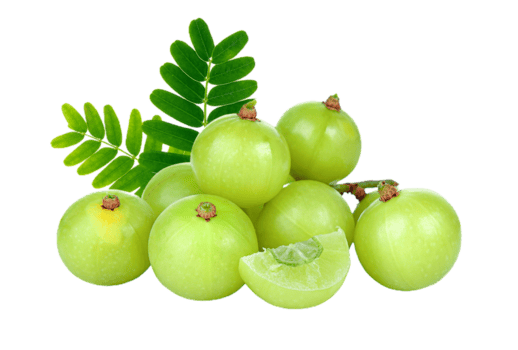 Gut Cleanse Powder - Gut Reset