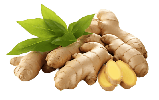 Gut Cleanse Powder - Gut Reset