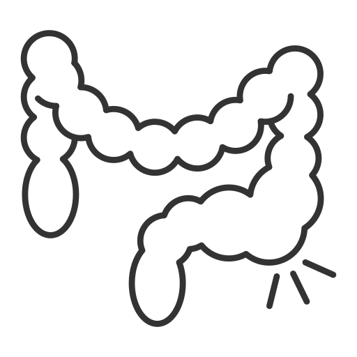 Gut Cleanse Powder - Gut Reset