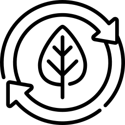 Shilajit Powder - Energy Reset