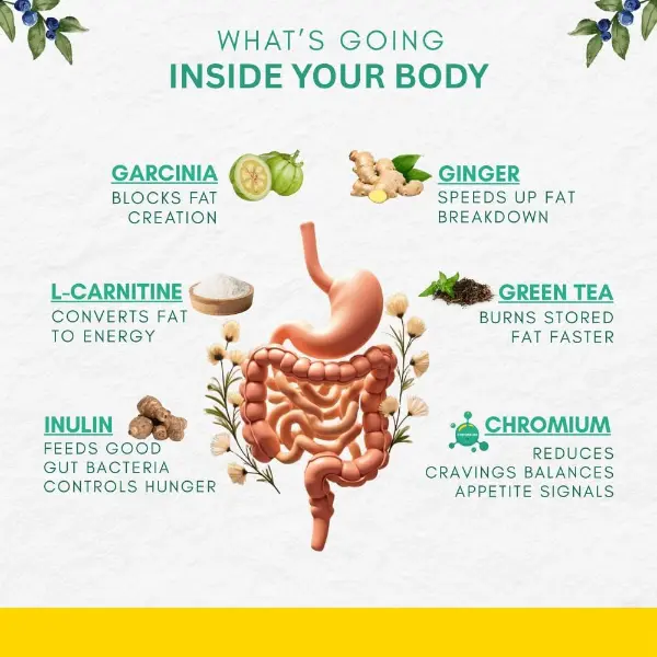 Weight Loss Powder - Body Reset